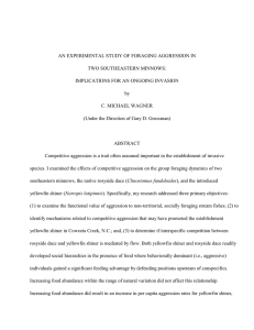 AN EXPERIMENTAL STUDY OF FORAGING AGGRESSION IN TWO