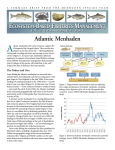 EBFM Menhaden Summary