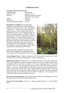 Dalbergia oliveri - Tree Seed Project