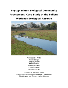 Final Report - UCLA Institute of the Environment and
