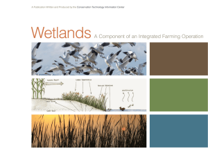 Wetlands: A Component of an Integrated Farming Operation