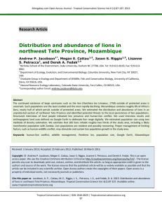 Distribution and abundance of lions in northwest Tete Province