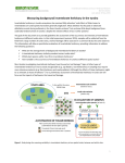 sampling design - Herbivory Network