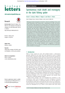 Spontaneous male death and monogyny in the dark fishing spider