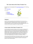 The Conservation of the Extinct Toromiro Tree