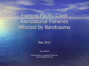 The 2003 Coastside / RFA Groundfish Survey Report