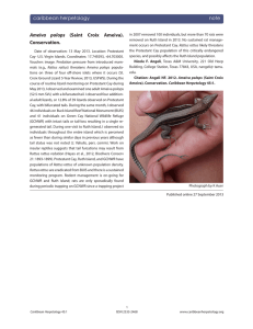 Ameiva polops (Saint Croix Ameiva). Conservation. caribbean