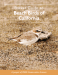 Beach Birds of California - Point Blue Conservation Science