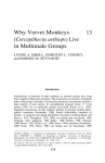 Why Vervet Monkeys - Department of Anthropology