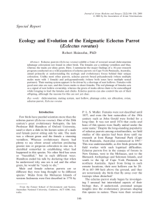 Ecology and Evolution of the Enigmatic Eclectus Parrot