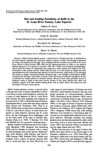 Ruffe Diet and Diel Movements