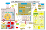 LCR MSCP Habitat Creation Accomplishment Process Model