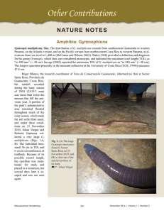 Other Contributions - Mesoamerican Herpetology