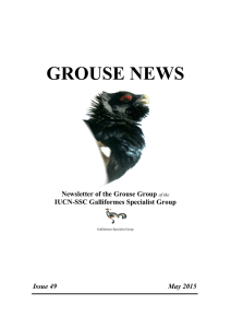 grouse news - Galliformes Specialist Group