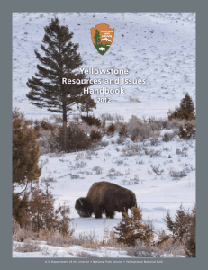 Yellowstone Resources and Issues Handbook
