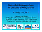Marine Baitfish Aquaculture - Miami