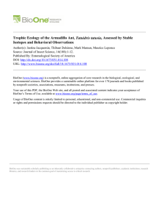 Trophic Ecology of the Armadillo Ant, Tatuidris tatusia, Assessed by