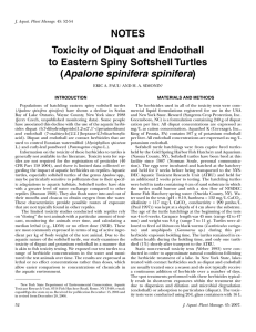 Toxicity of Diquat and Endothall to Eastern Spiny Softshell Turtles