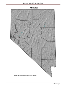 Nevada Wildlife Action Plan - Nevada Department of Wildlife