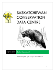 Wolverine - Saskatchewan Conservation Data Centre