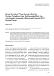 Recent Records of Pholas dactylus (Bivalvia: Myoida: Pholadidae