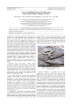 A case of cannibalism behavior of the Slow worm, Anguis fragilis