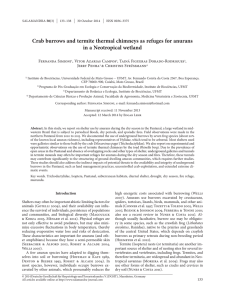 Crab burrows and termite thermal chimneys as