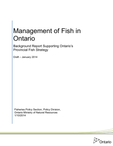 Management of Fish in Ontario - Backgroud Report Supporting