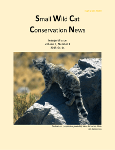 Small Wild Cat Conservation News - Small Cat Conservation Alliance