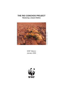 the rio conchos project