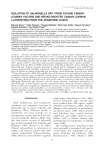 isolation of salmonella spp. from yacare caiman