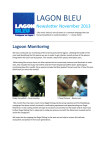 November 2013 Newsletter