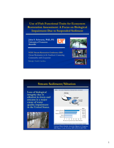 Use of fish functional traits for ecosystem restoration assessment