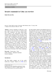 Invasive mammals in Cuba: an overview