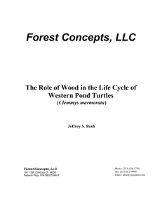 The Role of Wood in the Life Cycle of Western Pond Turtles