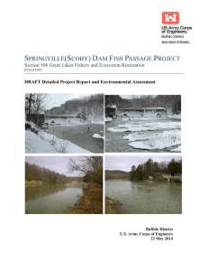 springville(scoby) dam fish passage project