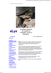 Elys Newsletter (No. 4, Nov 2014)
