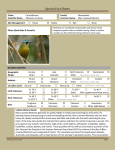 Blue-crowned Motmot - Avian Scientific Advisory Group