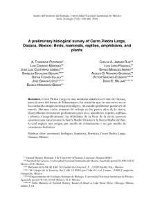 A preliminary biological survey of Cerro Piedra Larga, Oaxaca, Mexico