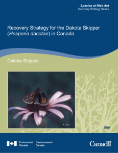 Recovery Strategy for the Dakota Skipper (Hesperia dacotae) in