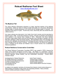 Factsheet - Robust Redhorse Conservation Committee