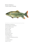 Nichols, M.C. 2003. Conservation strategy for robust redhorse