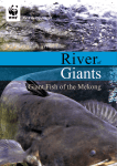 River of Giants: Giant Fish of the Mekong