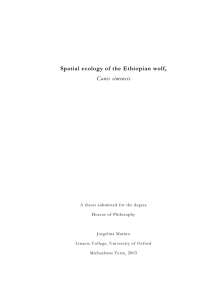 Spatial ecology of the Ethiopian wolf, Canis simensis