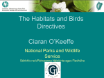 The Habitats and Birds Directives Ciaran O`Keeffe