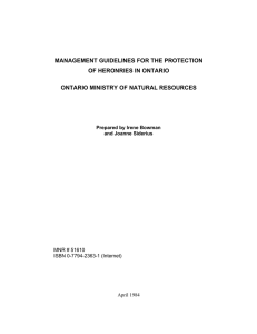 Management Guidelines for the Protection of Heronries in Ontario