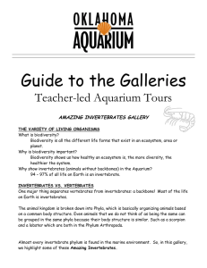 Guide to the Galleries