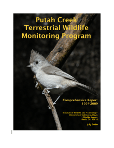 Putah Creek Terrestrial Wildlife Monitoring Program 1997