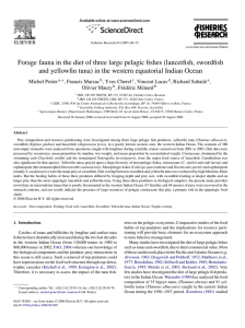 Forage fauna in the diet of three large pelagic fishes (lancetfish