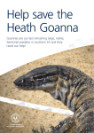 Heath Goanna - naturalresources.sa.gov.au